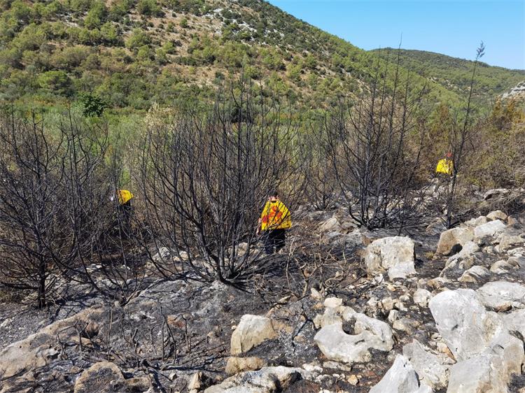Slika /slike/Vijesti/Dugi_otok_M. Mikliš_10.8..jpg